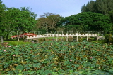 SINGAPORE, Japanese Garden (Seiwaen), lotus pond and bridge, SIN242JPL