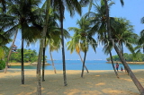 SINGAPORE, Sentosa Island, Palawan Beach, and coconut trees, SIN1539JPL