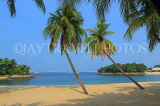 SINGAPORE, Sentosa Island, Palawan Beach, and coconut trees, SIN681JPL