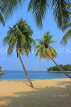 SINGAPORE, Sentosa Island, Palawan Beach, and coconut trees, SIN683JPL