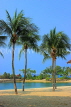 SINGAPORE, Sentosa Island, Palawan Beach, and coconut trees, SIN685JPL