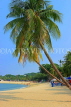 SINGAPORE, Sentosa Island, Palawan Beach, and coconut trees, SIN686JPL