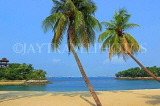 SINGAPORE, Sentosa Island, Palawan Beach, and coconut trees, SIN703JPL