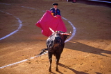 SPAIN, Valencia Province, bull fighting, matador and bull, SPN321JPL