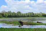 SRI LANKA, Anuradhapura, Basawakkulama tank (Abhaya Wewa), SLK5556JPL