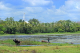SRI LANKA, Anuradhapura, Basawakkulama tank (Abhaya Wewa), SLK5560JPL