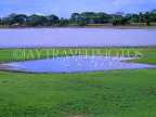 SRI LANKA, Anuradhapura, Bassawakkuluma Tank and storks, SLK274JPL