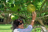 SRI LANKA, Anuradhapura, Calabash (Bari) fruit, woman touching fruit, SLK5818JPL
