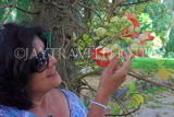 SRI LANKA, Anuradhapura, Cannon Ball (Sal) Tree  flower, woman admiring it, SLK5812JPL