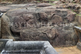 SRI LANKA, Anuradhapura, Isurumuniya Rock Temple, Ranmasu Uyana, bas-relief Elephants, SLK5760JPL