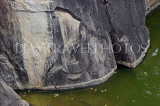 SRI LANKA, Anuradhapura, Isurumuniya Rock Temple, bas-relief of elephant, SLK5754JPL