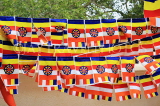 SRI LANKA, Anuradhapura, Jaya Sri Maha Bodhi (sacred Bo tree site), Buddhist flags, SLK5501JPL
