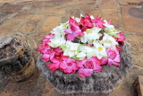 SRI LANKA, Anuradhapura, Thuparamaya Dagaba (stupa) site, lotus flower offerings, SLK5683JPL