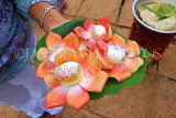 SRI LANKA, Anuradhapura, floral offerings at temple sites, Cannonball flowers, SLK5667JPL