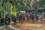 SRI LANKA, Colombo, Dehiwela Zoo, Elephant show, SLK1784JPL