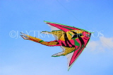 SRI LANKA, Colombo, Galle Face Green, and kite flying, SLK5220JPL