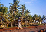 SRI LANKA, Colombo, man walking along coastal railway line, SLK2162JPL