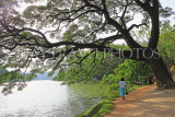 SRI LANKA, Kandy, Kandy Lake, lakeside walkway, SLK3619JPL
