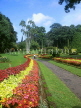 SRI LANKA, Kandy, Peradeniya Botanical Gardens, Flower Garden, SLK1539JPL
