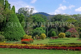 SRI LANKA, Kandy, Peradeniya Botanical Gardens, Flower Garden, SLK2040JPL
