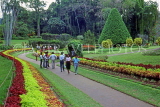 SRI LANKA, Kandy, Peradeniya Botanical Gardens, Flower Garden, SLK2083JPL