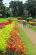 SRI LANKA, Kandy, Peradeniya Botanical Gardens, Flower Garden, SLK4929JPL