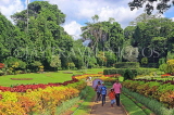 SRI LANKA, Kandy, Peradeniya Botanical Gardens, Flower Garden, SLK5823JPL