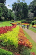 SRI LANKA, Kandy, Peradeniya Botanical Gardens, Flower Garden, and visitors, SLK4925JPL