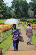SRI LANKA, Kandy, Peradeniya Botanical Gardens, Flower Garden, and visitors, SLK4926JPL