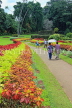 SRI LANKA, Kandy, Peradeniya Botanical Gardens, Flower Garden, and visitors, SLK4927JPL