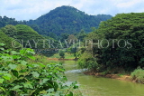 SRI LANKA, Kandy, Peradeniya Botanical Gardens, Mahaweli Ganga (river) by gardens, SLK4965JPL