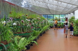 SRI LANKA, Kandy, Peradeniya Botanical Gardens, Orchid House, SLK4933JPL