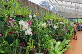 SRI LANKA, Kandy, Peradeniya Botanical Gardens, Orchid House, SLK4939JPL