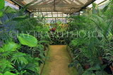 SRI LANKA, Kandy, Peradeniya Botanical Gardens, Plant House, SLK4853JPL