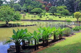SRI LANKA, Kandy, Peradeniya Botanical Gardens, lake and rock border area, SLK4948JPL