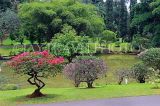 SRI LANKA, Kandy, Peradeniya Botanical Gardens, lake and rock border area, SLK4950JPL