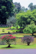 SRI LANKA, Kandy, Peradeniya Botanical Gardens, lake and rock border area, SLK4952JPL