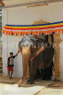 SRI LANKA, Kandy, Temple of the Tooth (Dalada Maligawa), Sri Natha Devalaya, elephant entering, SLK3501JPL