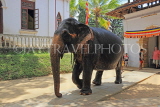 SRI LANKA, Kandy, Temple of the Tooth (Dalada Maligawa), Sri Natha Devalaya, elephant entering, SLK3502JPL