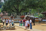 SRI LANKA, Kandy, Temple of the Tooth (Dalada Maligawa), Sri Natha Devalaya, visitors, elephant, SLK3492JPL