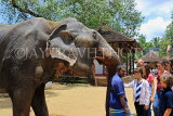 SRI LANKA, Kandy, Temple of the Tooth (Dalada Maligawa), Sri Natha Devalaya, visitors, elephant, SLK3495JPL