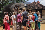 SRI LANKA, Kandy, Temple of the Tooth (Dalada Maligawa), Sri Natha Devalaya, visitors, elephant, SLK3496JPL