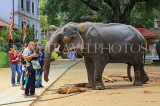 SRI LANKA, Kandy, Temple of the Tooth (Dalada Maligawa), Sri Natha Devalaya, visitors with elephant, SLK3494JPL