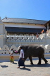 SRI LANKA, Kandy, Temple of the Tooth (Dalada Maligawa), and elephant, SLK2902JPL