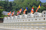SRI LANKA, Kandy, Temple of the Tooth (Dalada Maligawa), temple walls with Buddhist flags, SLK3320JPL