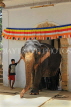 SRI LANKA, Kandy, Temple of the Tooth, Sri Natha Devalaya (temple), elephant entering, SLK3501JPL