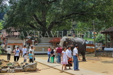 SRI LANKA, Kandy, Temple of the Tooth, Sri Natha Devalaya (temple), visitors with elephant, SLK3492JPL