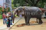 SRI LANKA, Kandy, Temple of the Tooth, Sri Natha Devalaya (temple), visitors with elephant, SLK3494JPL