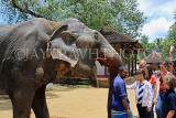 SRI LANKA, Kandy, Temple of the Tooth, Sri Natha Devalaya (temple), visitors with elephant, SLK3495JPL