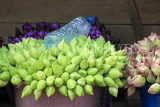 SRI LANKA, Kandy, Temple of the Tooth site, stall selling flowers for offerings, SLK3421JPL